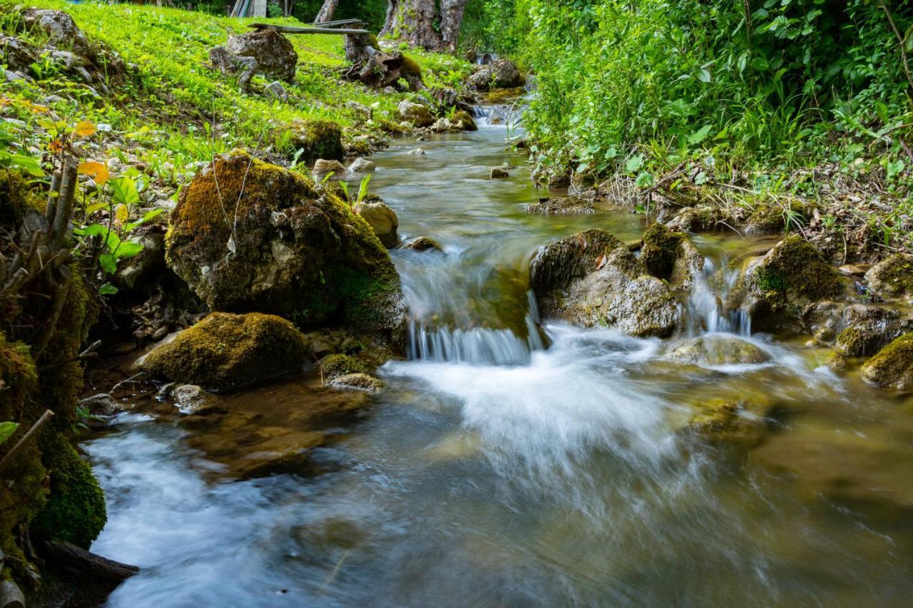 Kuca U Sumi - Forrest House Near Una National Park Bihać Dış mekan fotoğraf